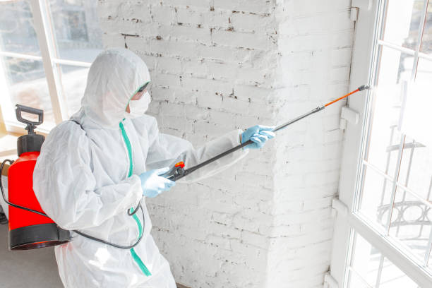 Best Mold Remediation for Vacation Homes  in Crystal Lake, FL